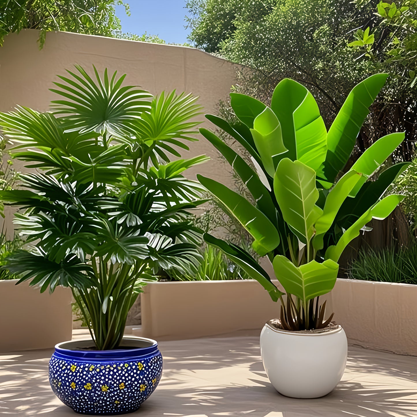 2pcs Set of Large Artificial Palm Trees for Indoor/Outdoor Decoration