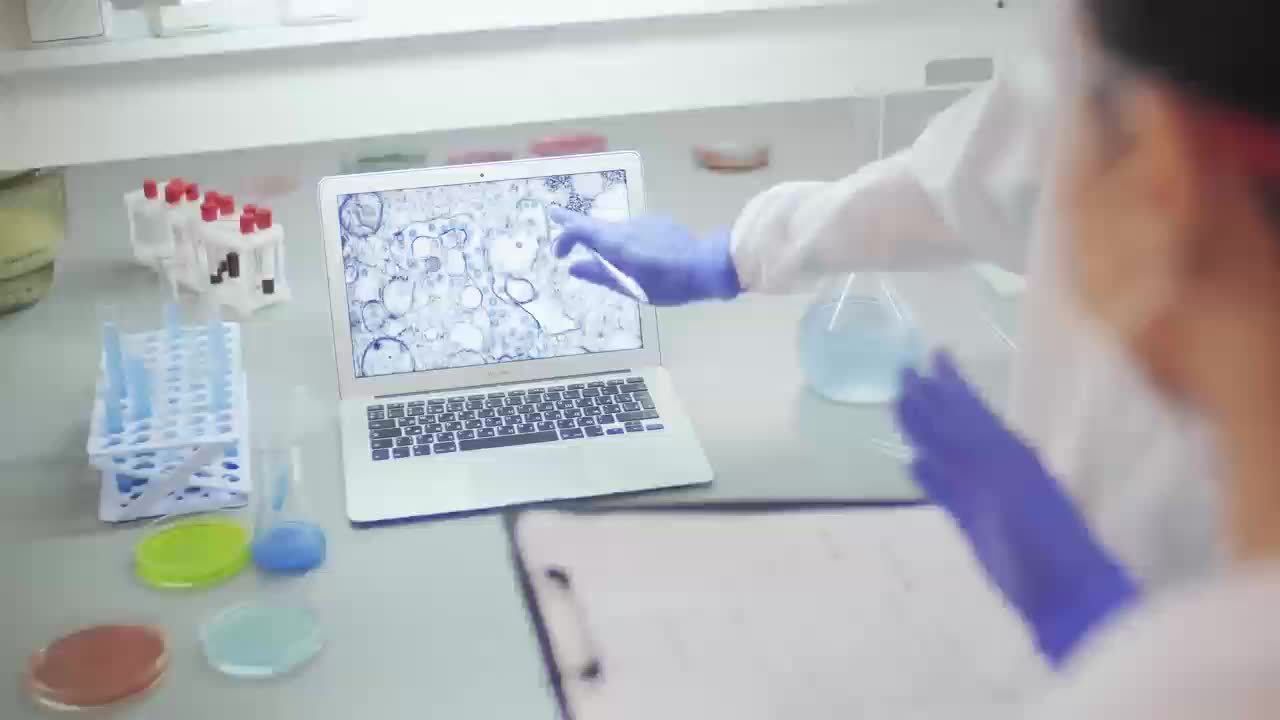 Fenugreek Gummies with Vitamin E KISUGBY Multivitamin Candy