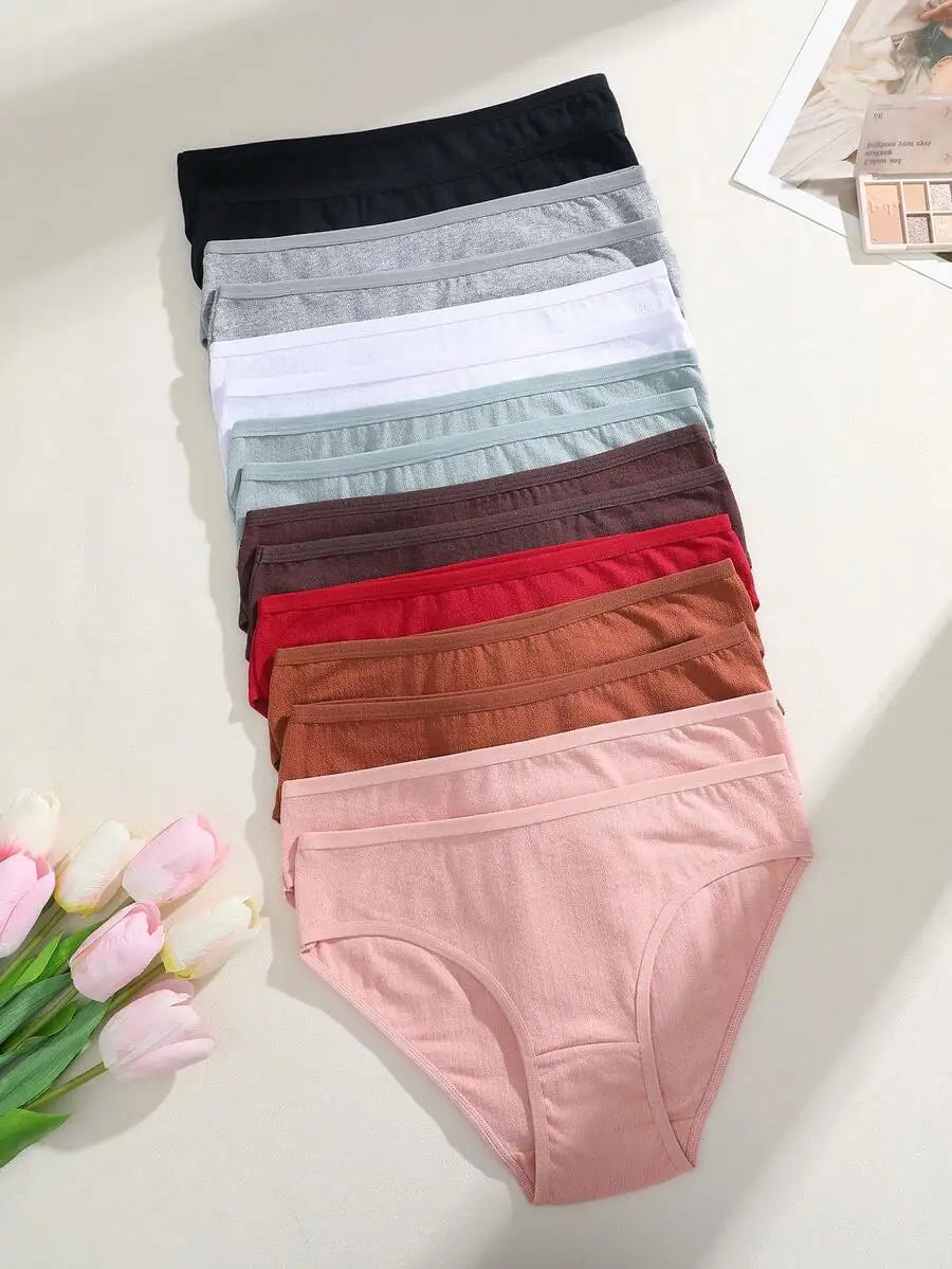 Premium Cotton Womens Briefs Pack 15 Pieces Everyday Comfortable Underwear